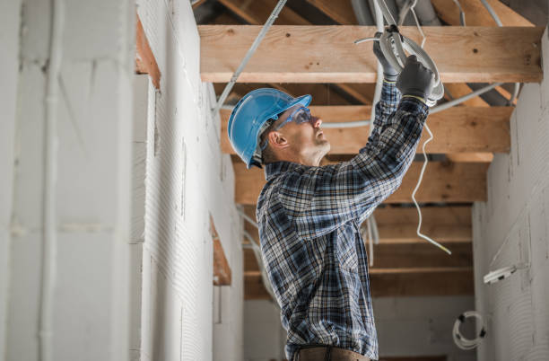 Best Affordable Electrician  in Lake Sconsin, WI