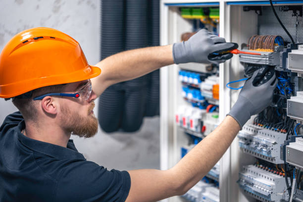 Best Electrical System Inspection  in Lake Sconsin, WI